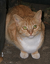 Bibs was from the back.. very shy too