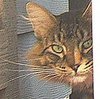 Sister Oscar 2006