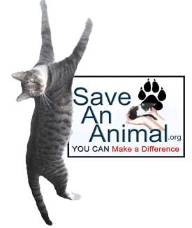 save an animal cat on side logo